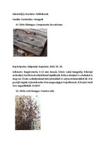 Összefoglalók, jegyzetek 'Szárazföldi állatok rendszertani besorolása, jellemzése saját képanyaggal', 18.                