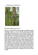 Összefoglalók, jegyzetek 'Szárazföldi állatok rendszertani besorolása, jellemzése saját képanyaggal', 20.                