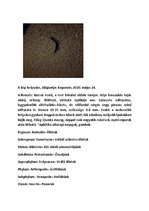 Összefoglalók, jegyzetek 'Szárazföldi állatok rendszertani besorolása, jellemzése saját képanyaggal', 23.                