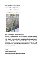 Összefoglalók, jegyzetek 'Szárazföldi állatok rendszertani besorolása, jellemzése saját képanyaggal', 24.                