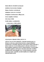 Összefoglalók, jegyzetek 'Szárazföldi állatok rendszertani besorolása, jellemzése saját képanyaggal', 25.                