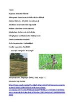 Összefoglalók, jegyzetek 'Szárazföldi állatok rendszertani besorolása, jellemzése saját képanyaggal', 26.                