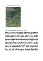 Összefoglalók, jegyzetek 'Szárazföldi állatok rendszertani besorolása, jellemzése saját képanyaggal', 28.                