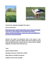 Összefoglalók, jegyzetek 'Szárazföldi állatok rendszertani besorolása, jellemzése saját képanyaggal', 32.                