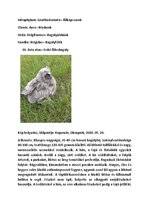 Összefoglalók, jegyzetek 'Szárazföldi állatok rendszertani besorolása, jellemzése saját képanyaggal', 36.                