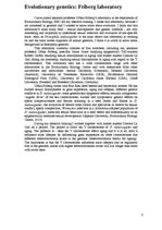 Gyakorlati jelentések 'The Y Chromosome of Drosophila Melanogaster and Aging', 2.                