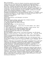 Esszék 'What Is Rickettsia', 1.                