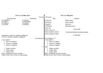 Összefoglalók, jegyzetek 'Anatomija. Kauli', 4.                