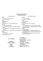 Összefoglalók, jegyzetek 'Anatomija. Kauli', 8.                