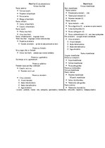 Összefoglalók, jegyzetek 'Anatomija. Kauli', 17.                