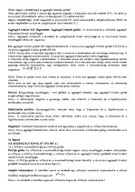 Összefoglalók, jegyzetek 'Makroökonómia fogalmak összesítve', 13.                