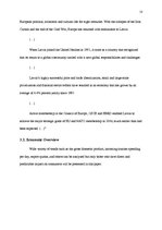 Kutatási anyagok 'International Business Analysis. Company in Latvia', 16.                