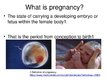 Prezentációk 'Foetal Development', 2.                
