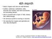 Prezentációk 'Foetal Development', 12.                