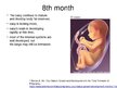 Prezentációk 'Foetal Development', 20.                