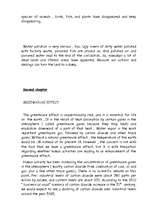 Összefoglalók, jegyzetek 'Ecology', 2.                