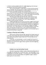 Kutatási anyagok 'The Production of Chocolate', 5.                