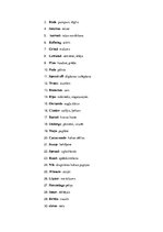 Kutatási anyagok 'The Production of Chocolate', 8.                