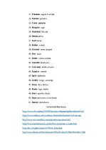 Kutatási anyagok 'The Production of Chocolate', 9.                