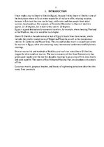 Összefoglalók, jegyzetek 'Itinerary "Relaxing in Sharm el Sheikh"', 3.                