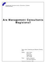 Kutatási anyagok 'Are Management Consultants Magicians?', 1.                